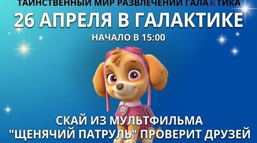 🐶 Мульт-патруль спешит на помощь!